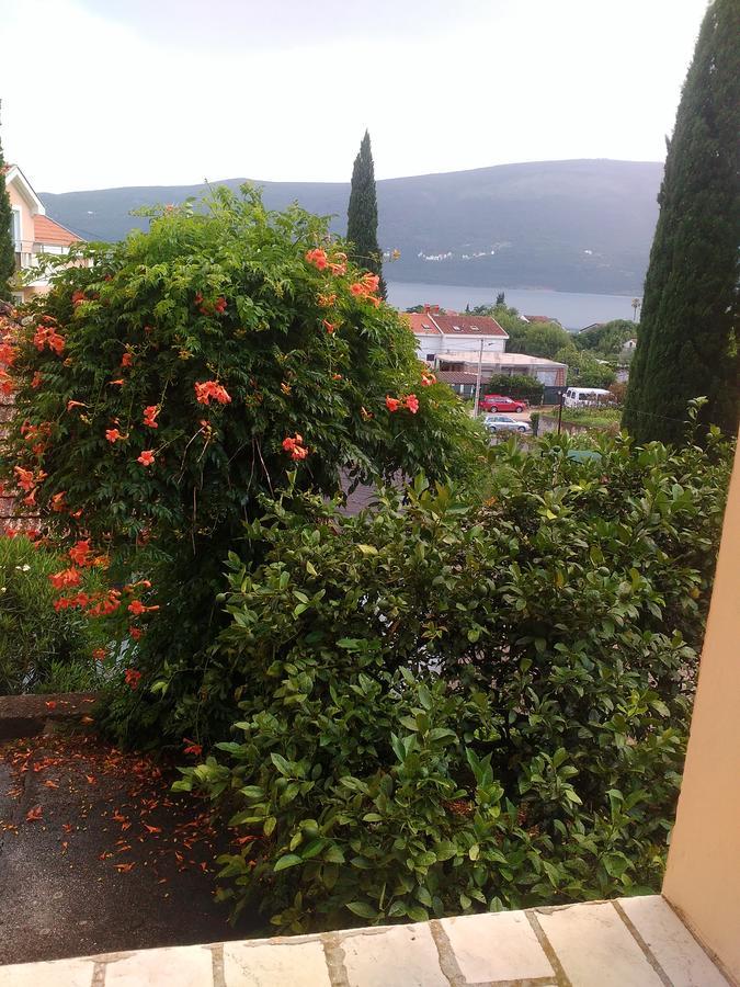 Sobe Baosici Marina Hotel Herceg Novi Luaran gambar